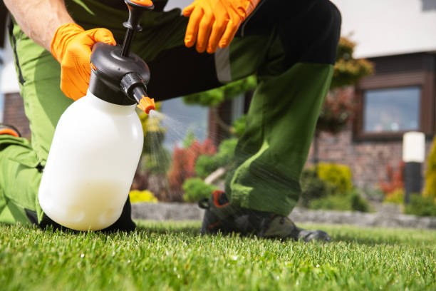 Best Pest Removal Services  in Hopewell, TN