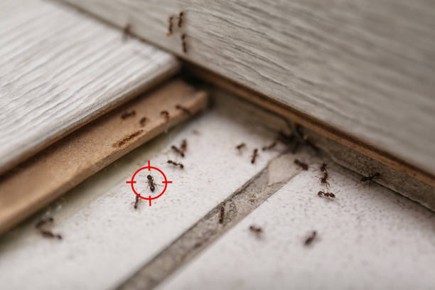 Best Wildlife Control Services  in Hopewell, TN