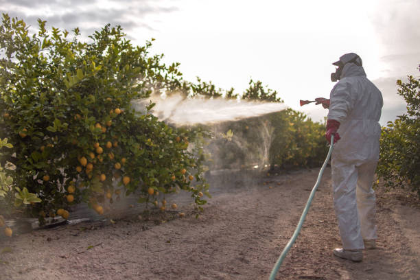 Best Termite Control Services  in Hopewell, TN