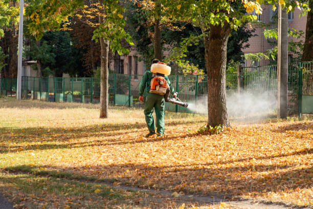 Best Pest Prevention Services  in Hopewell, TN