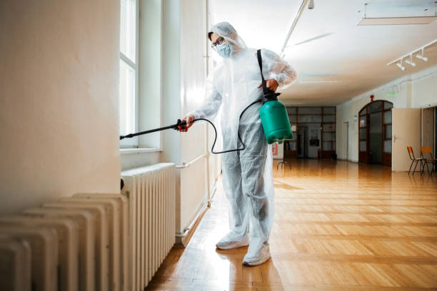 Best Wasp Removal Services  in Hopewell, TN