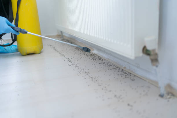 Best Mosquito Control Services  in Hopewell, TN