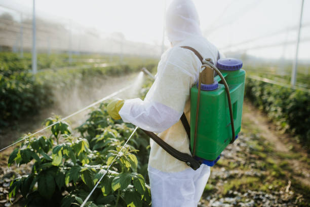 Best Flea Control Services  in Hopewell, TN